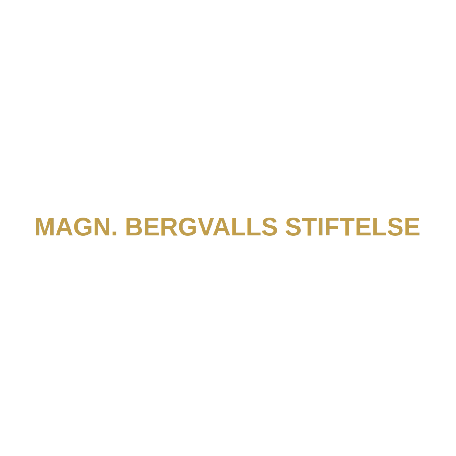 Magn Bergvalls Stiftelse